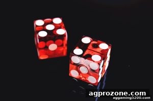 AG真人 agprozone